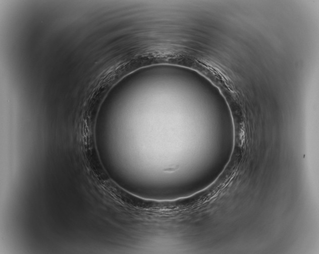 X0000096990917200802081424