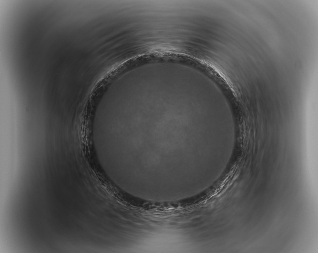 X0000096990919200802081424