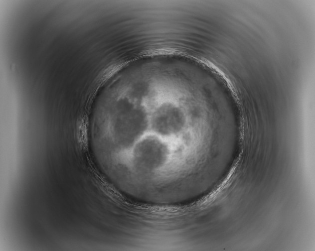 X0000096990921200802081425