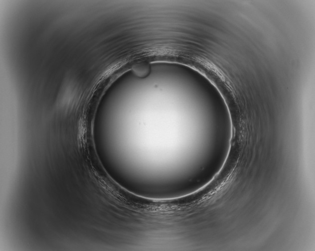 X0000096990922200802081425