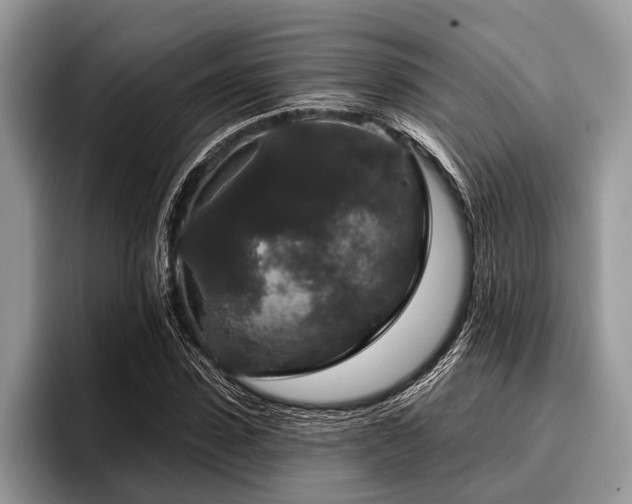 X0000096990923200802081425