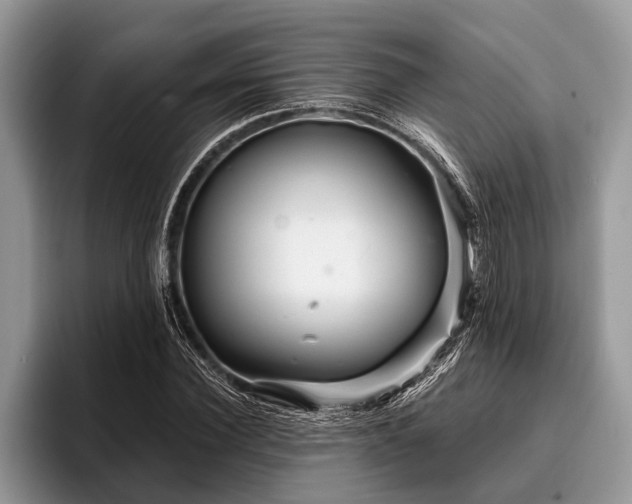 X0000096990924200802081425