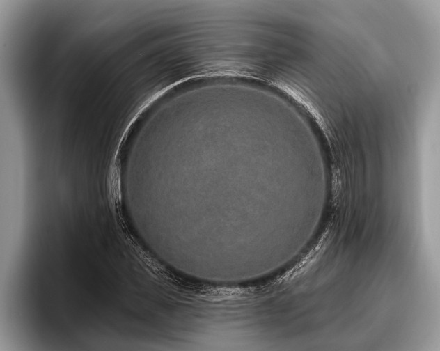 X0000096990925200802081425