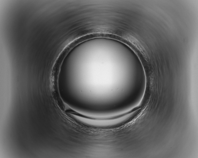 X0000096990926200802081425