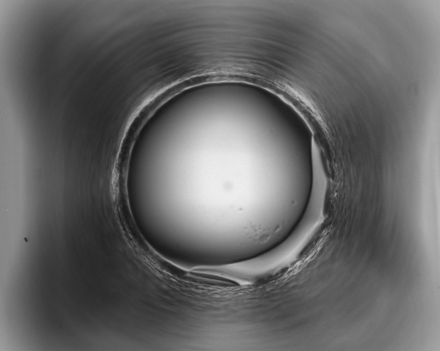 X0000096990928200802081425