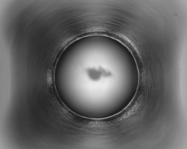 X0000096990929200802081425