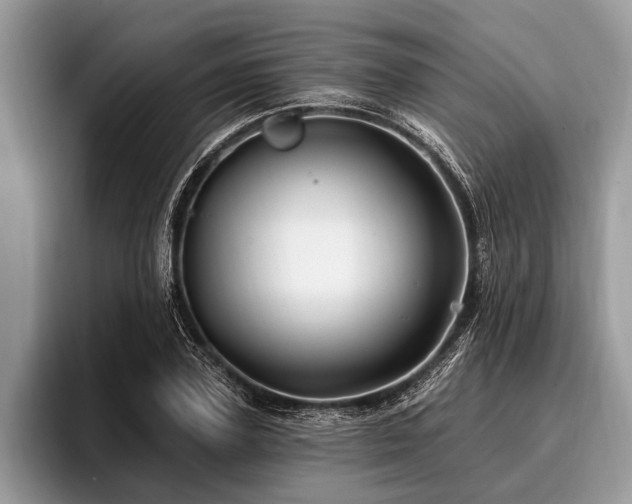 X0000096990931200802081425