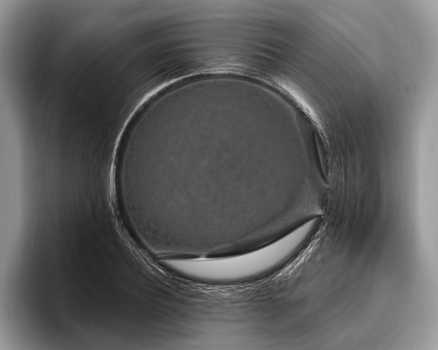 X0000096990932200802081425