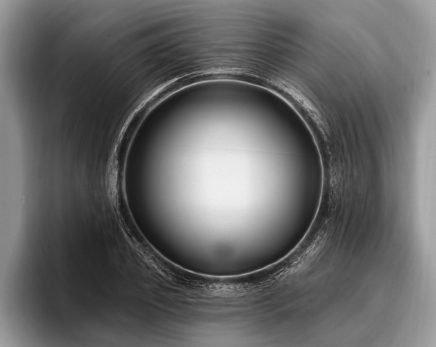 X0000096990933200802081425