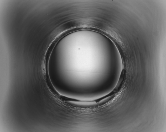 X0000096990934200802081425