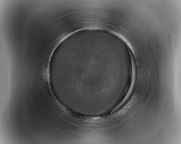 X0000096990935200802081425