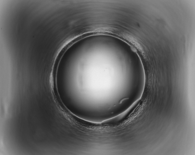 X0000096990936200802081425