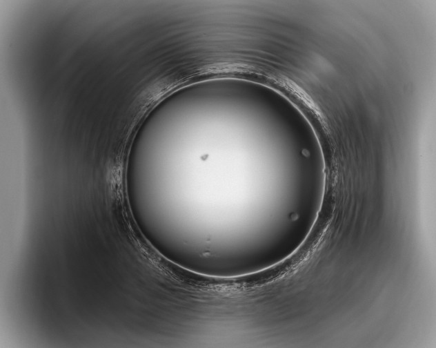 X0000096990937200802081425
