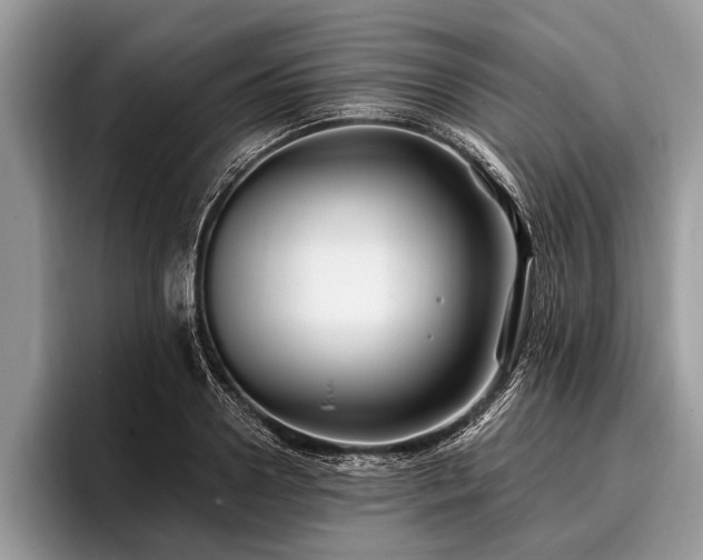 X0000096990938200802081425