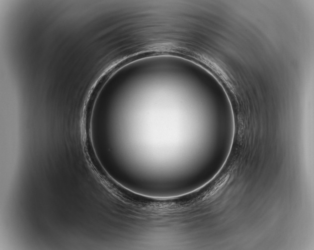 X0000096990939200802081425