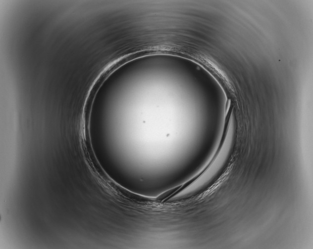 X0000096990940200802081425