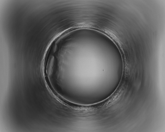 X0000096990941200802081425