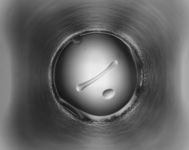 X0000096990942200802081425