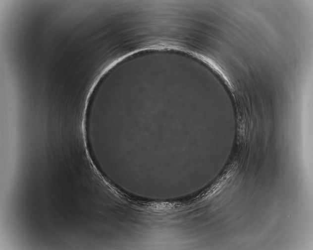 X0000096990943200802081425
