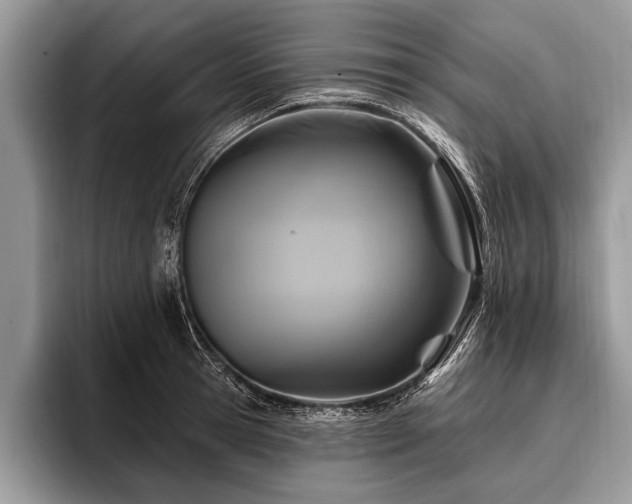 X0000096990945200802081425