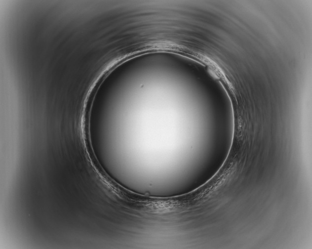 X0000096990947200802081425