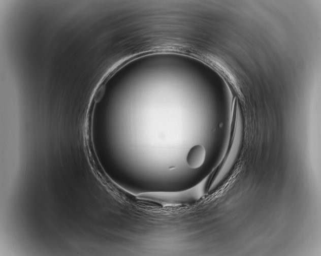 X0000096990948200802081425