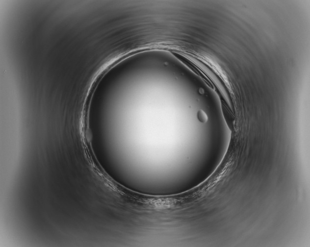 X0000096990952200802081425