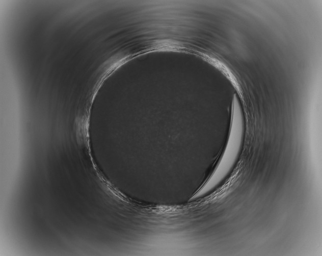 X0000096990954200802081425