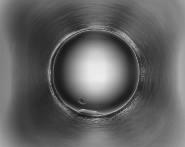 X0000096990955200802081425