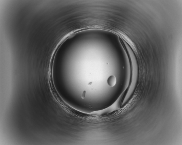 X0000096990956200802081425