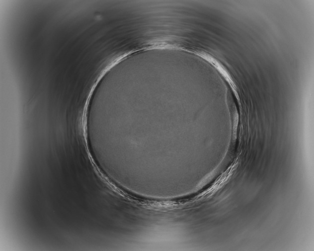 X0000096990957200802081425