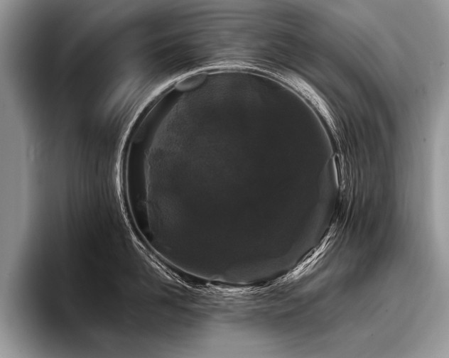 X0000096990958200802081425