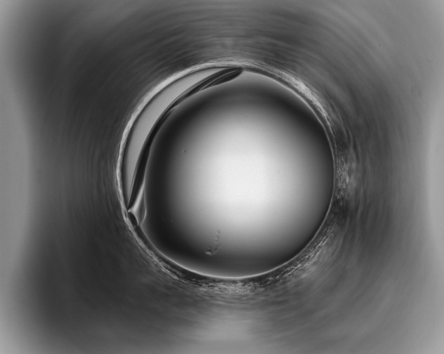 X0000096990959200802081425