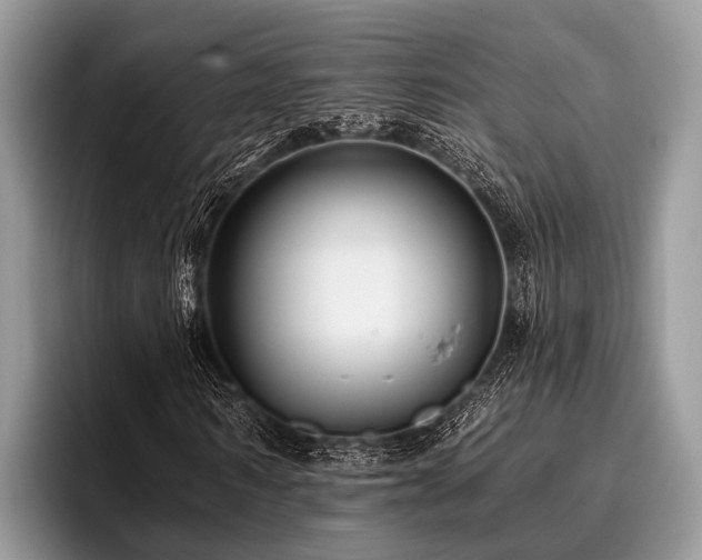 X0000096990962200802081424