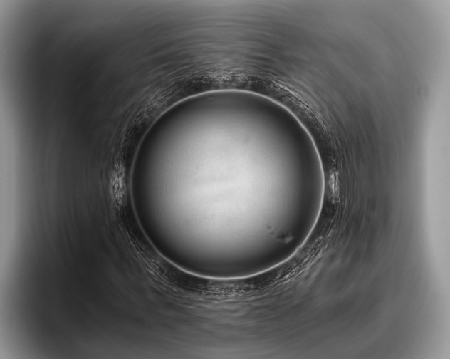 X0000096990963200802081424