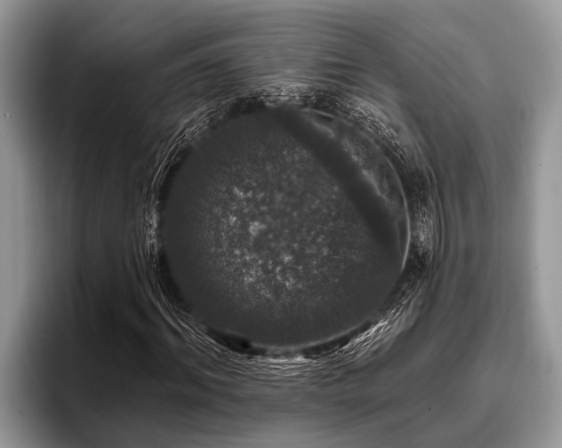 X0000096990964200802081424