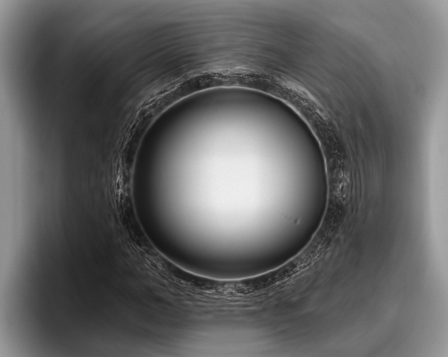 X0000096990966200802081424