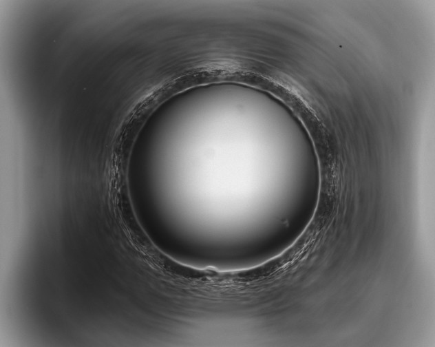 X0000096990967200802081424