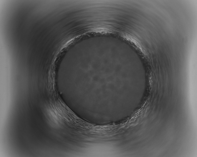 X0000096990968200802081424