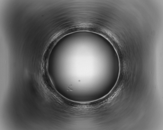 X0000096990970200802081424
