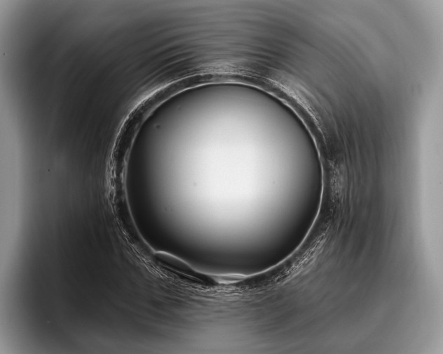 X0000096990971200802081424
