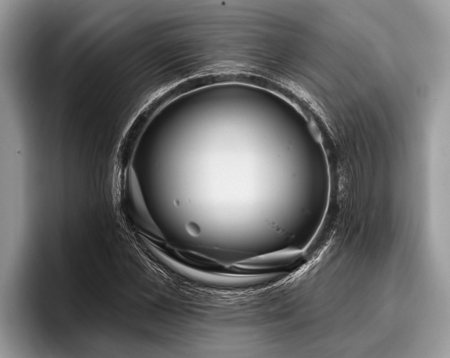 X0000096990973200802081424
