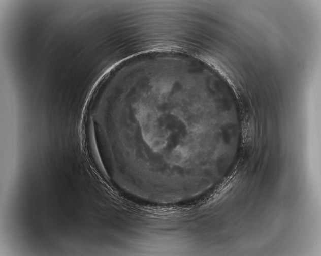 X0000096990975200802081424