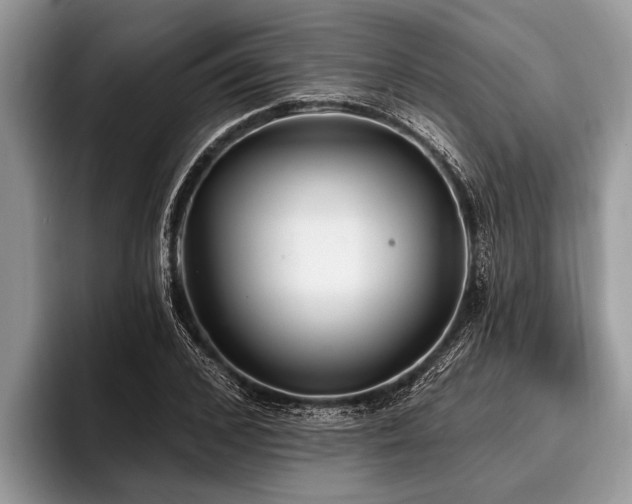 X0000096990976200802081424