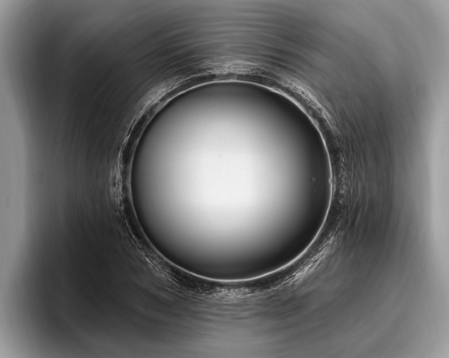 X0000096990978200802081424