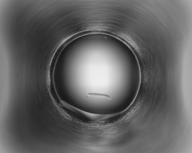 X0000096990980200802081424