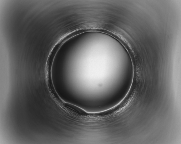 X0000096990981200802081424