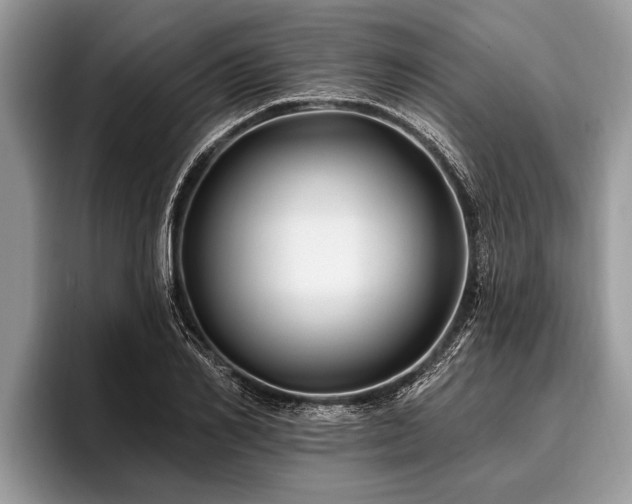 X0000096990982200802081424
