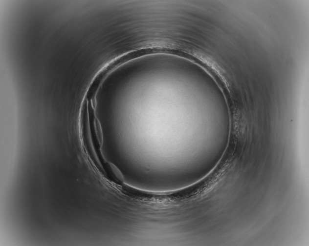 X0000096990983200802081424