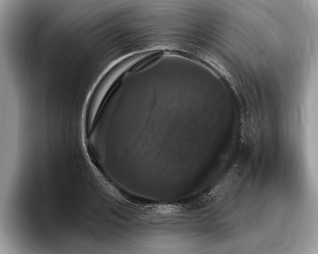 X0000096990984200802081424